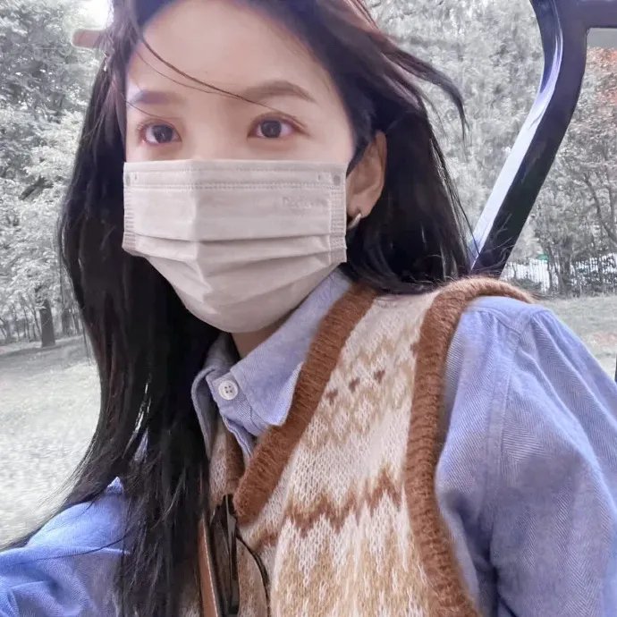 几度菊花香